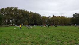 Hundeauslaufgebiet-Power-Pfoten - Freilauf-Bild