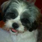 Ersteller:in Marina Profilbild