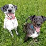 Ersteller:in Iris Profilbild