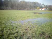 Hundeauslaufgebiet-Rotbach / Wolfenthal in Biberach-Bild