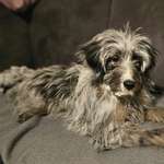 Ersteller:in Steff Profilbild