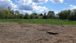 Hundeauslaufgebiet-Hundegehege im Grimnitzpark-Bild