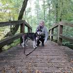 Ersteller:in Engelin Profilbild