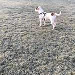 Ersteller:in Yasin Profilbild