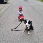 Ersteller:in David  Profilbild