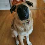 Ersteller:in Sabrina Profilbild