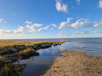 Hundeauslaufgebiet-Hundestrand Dangast-Bild