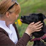 Ersteller:in Linne Profilbild