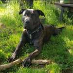 Ersteller:in Alina Profilbild