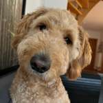 Ersteller:in Silke Profilbild