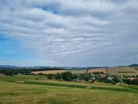 Hundeauslaufgebiet-Alter Kirchweg-Bild