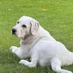 Ersteller:in F Profilbild