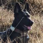 Ersteller:in Rob Profilbild