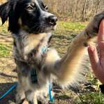 Ersteller:in Kathy Profilbild