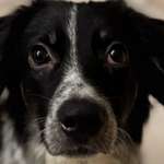 Ersteller:in Kathy Profilbild