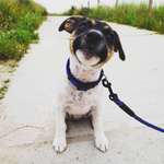 Ersteller:in Sabrina Profilbild