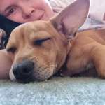 Ersteller:in Maria Profilbild