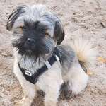 Ersteller:in Angelika Profilbild