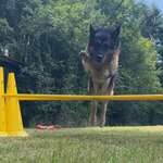 Ersteller:in Laura Profilbild