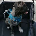 Ersteller:in Ronja Profilbild