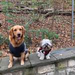 Ersteller:in Sharad Profilbild