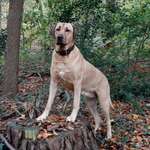 Ersteller:in Uschi Profilbild