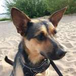 Ersteller:in Susan Profilbild