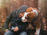 Hundeauslaufgebiet-Steller Heide-Bild