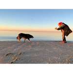 Ersteller:in Silke Profilbild