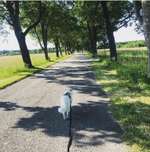 Hundeauslaufgebiet-Gut Freiham-Bild