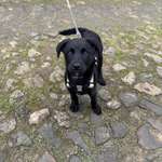 Ersteller:in Jassi Profilbild