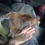 Ersteller:in Sophie Profilbild