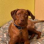 Ersteller:in Susanne Profilbild