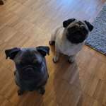 Ersteller:in Stine Profilbild