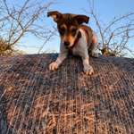 Ersteller:in Rita Profilbild