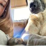 Ersteller:in Ilvy Profilbild