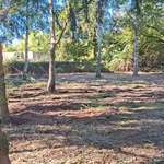 Hundeauslaufgebiet-Hundewiese Gransee-Bild