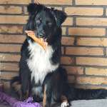 Ersteller:in Jasmin Profilbild