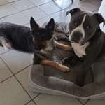 Ersteller:in Monja & Profilbild