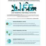 LIFE-Modell Hundetraining. Hat jemand Erfahrungen in der Praxis?-Beitrag-Bild
