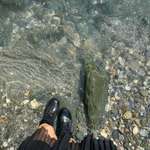 Ersteller:in Tara Profilbild