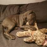 Ersteller:in Thomas Profilbild