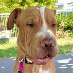 Ersteller:in Nina Profilbild