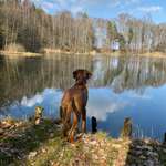 Ersteller:in Marc Profilbild