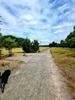 Hundeauslaufgebiet-Hausener Hundeverkehrspunkt-Bild