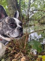 68. Handy Foto Challenge: "Ins Netz gegangen"-Beitrag-Bild