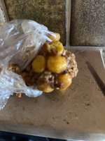 Vergiftung durch selbstgemachtes Vogelfutter?-Beitrag-Bild