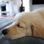 Ersteller:in Tinka Profilbild