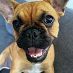 Ersteller:in A n n Profilbild