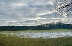 Hundeauslaufgebiet-Niehorst-Bild